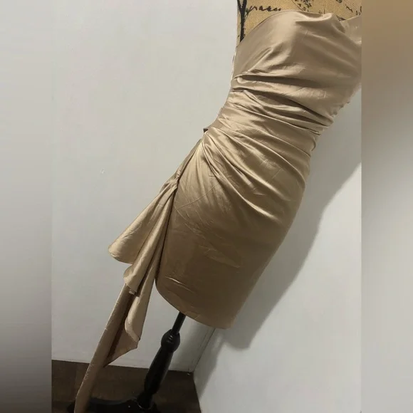 BABYBOO Avery Mini Dress Champagne Size XS - Picture 6 of 12